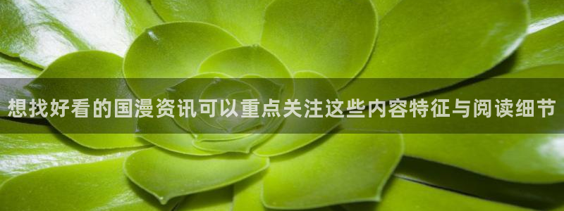 歪歪漫画网站导航：想找好看的国漫资讯可以重点关注这些内容特征与阅读细节