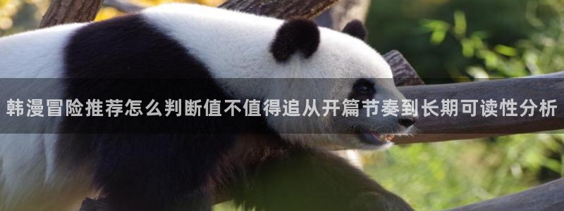 歪歪漫画热门推荐：韩漫冒险推荐怎么判断值不值得追从开篇节奏到长期可读性分析